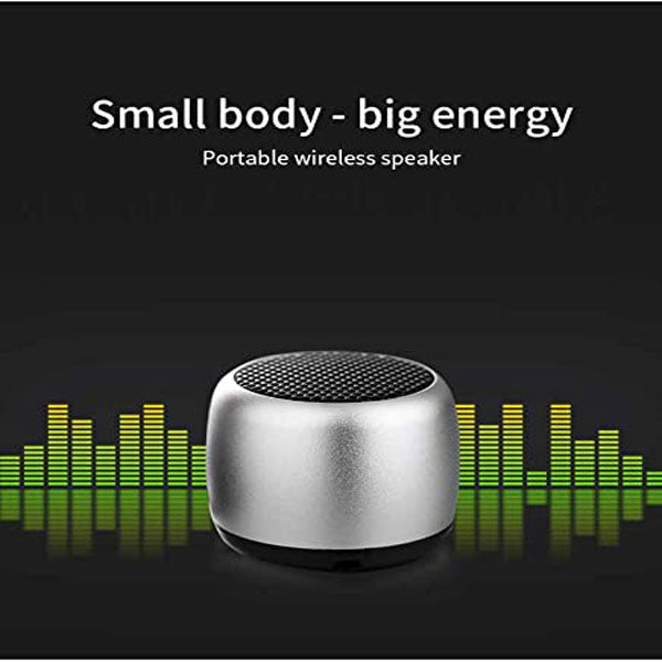 Mini Wireless Speaker with Microphone 2021-4